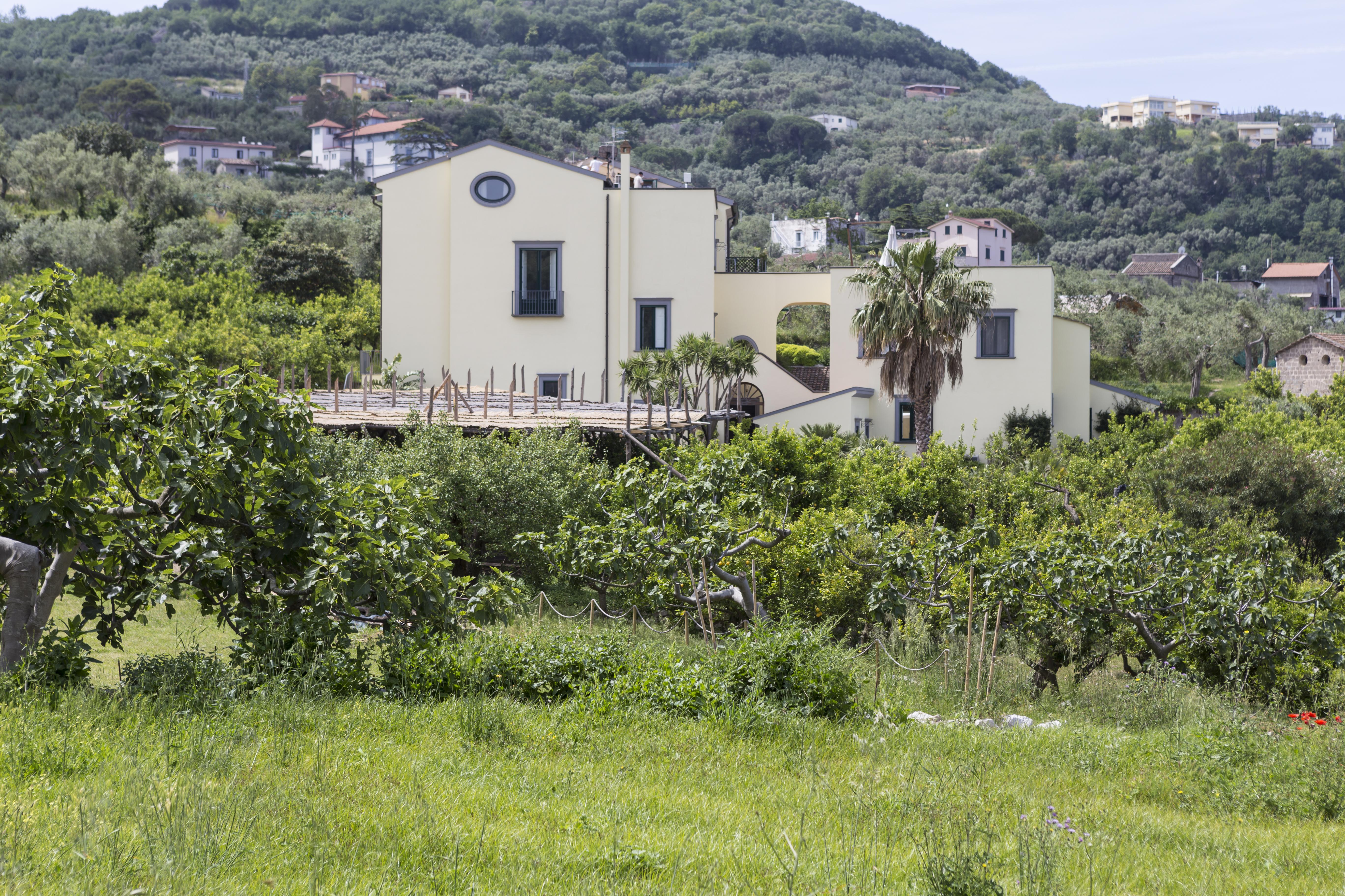 Relais Regina Giovanna Sorrento Luaran gambar