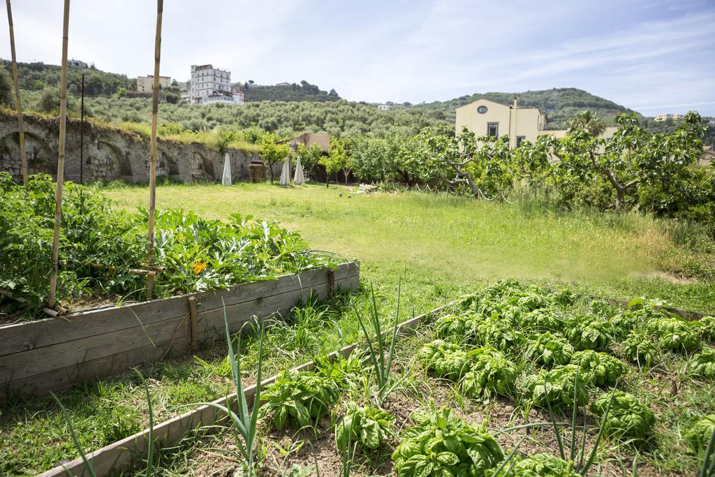 Relais Regina Giovanna Sorrento Luaran gambar