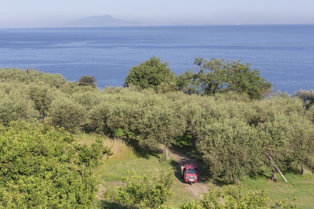 Relais Regina Giovanna Sorrento Luaran gambar