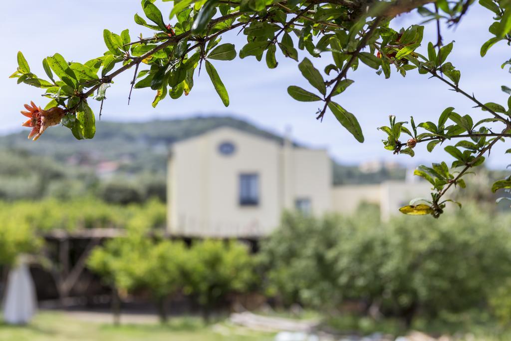 Relais Regina Giovanna Sorrento Luaran gambar