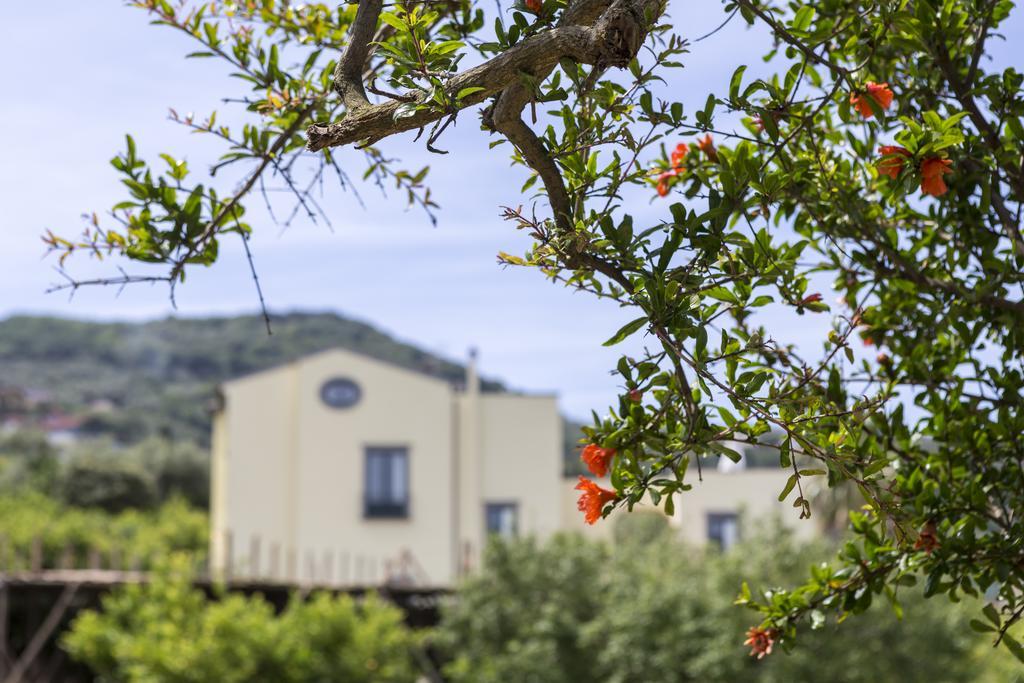 Relais Regina Giovanna Sorrento Luaran gambar